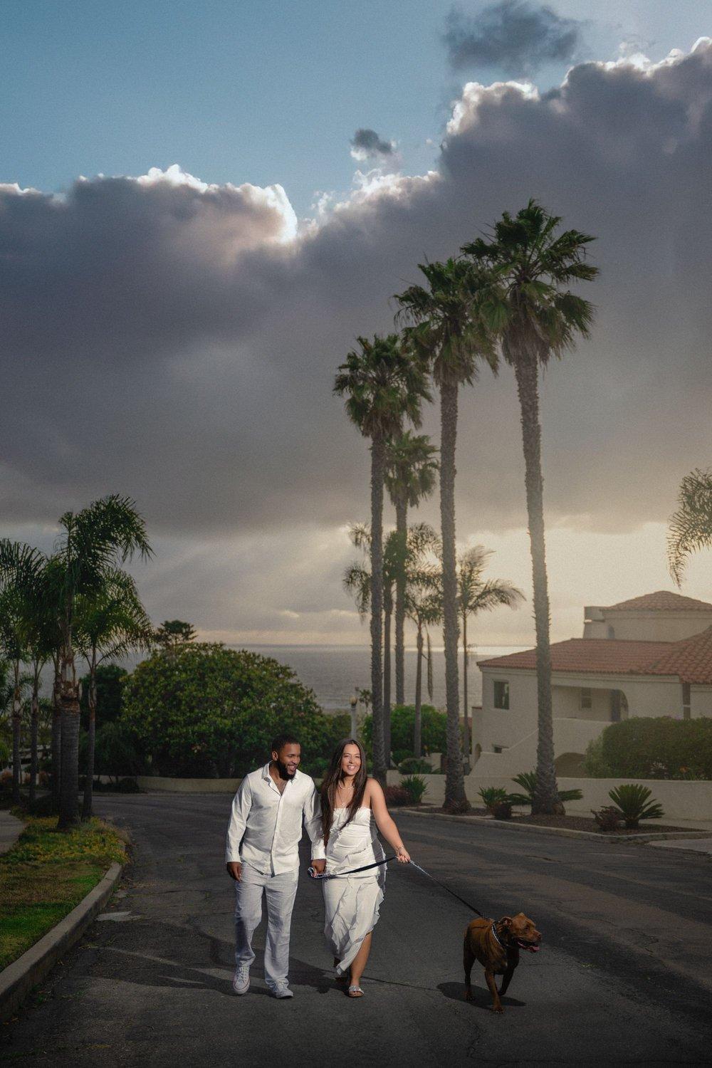 carousel-hero-element image-1